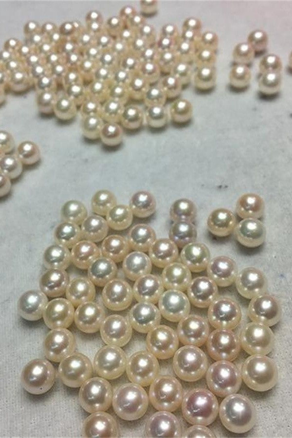 Classy 8-9mm Round Freshwater Loose Pearl P36