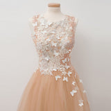 A-line Round Neck Tulle Long Prom Dress with Lace Appliques OKU29