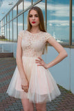 Jewel Neck Lace Top Tulle Cap Sleeves Homecoming Dresses OKN38