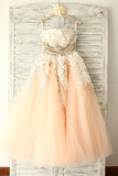 Strapless Lace Open Back Modest Prom Party Dress ED0967