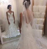 V Neck Backless Lace Mermaid Wedding Dress V Back Elegant Bridal Dress OKZ36