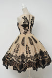 Elegant A-Line Scoop Sleeveless Tulle Vintage Style Homecoming Dresses With Black Lace OK465