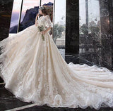 Charming Half Sleeves Ball Gown Wedding Dress, Appliques V Neck Bridal Dress OKK2