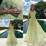A Line Lace Cap Sleeve Daffodil Tulle Long Prom Dresses with Appliques OKE46