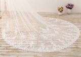 3M Long Embroidered Lace Cathedral Veils for Wedding WV11